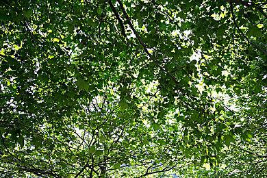 大神用虚幻5打造《辐射：新维加斯》视频 非常惊艳